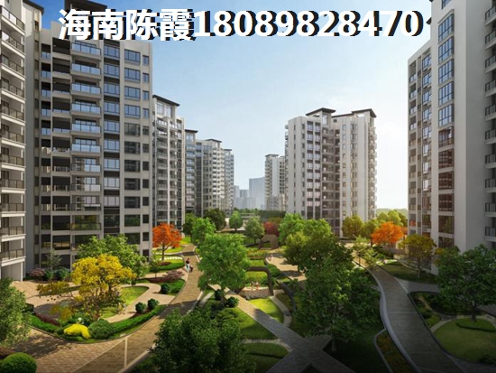 2025海南大溪地住宅小区房子有多大的生纸空间