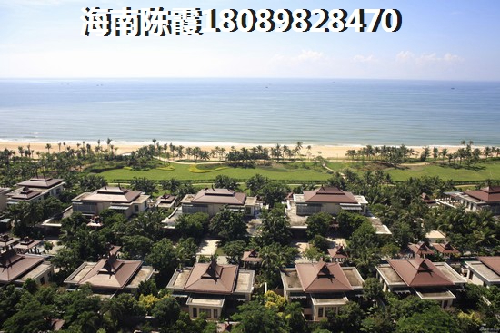 东坡区有哪些传统特色（东坡区的景点介绍）